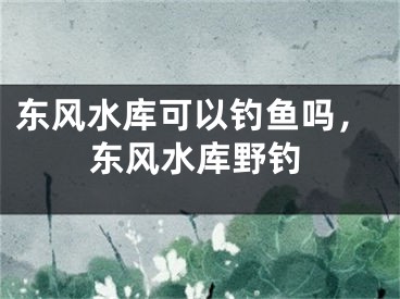 东风水库可以钓鱼吗，东风水库野钓