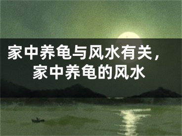 家中养龟与风水有关,家中养龟的风水
