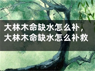 大林木命缺水怎么补，大林木命缺水怎么补救