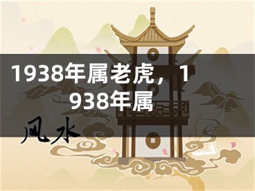 1938年属老虎，1938年属