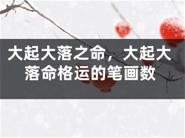 大起大落之命，大起大落命格运的笔画数