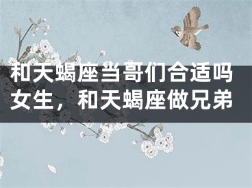 和天蝎座当哥们合适吗女生，和天蝎座做兄弟
