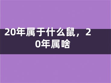 20年属于什么鼠，20年属啥