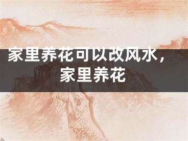 家里养花可以改风水，家里养花