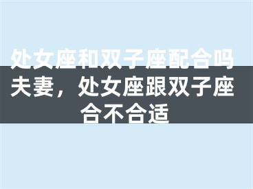 处女座和双子座配合吗夫妻，处女座跟双子座合不合适