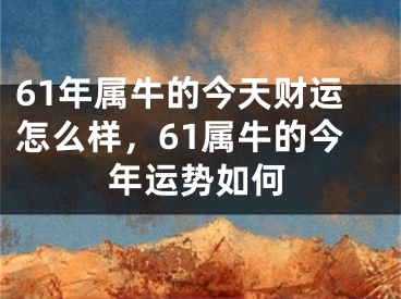 61年属牛的今天财运怎么样,61属牛的今年运势如何