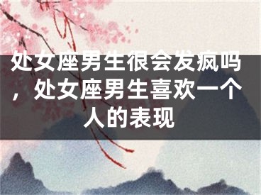 处女座男生很会发疯吗,处女座男生喜欢一个人的表现