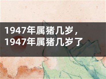 1947年属猪几岁,1947年属猪几岁了