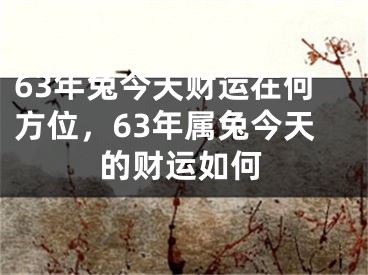 63年兔今天财运在何方位，63年属兔今天的财运如何