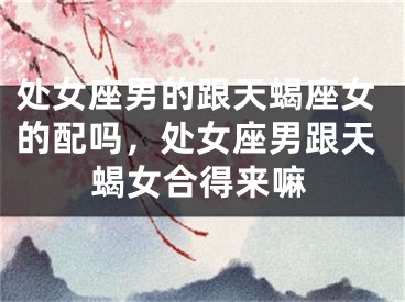 处女座男的跟天蝎座女的配吗,处女座男跟天蝎女合得来嘛