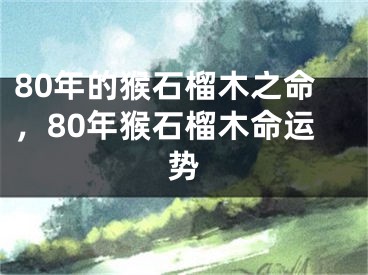 80年的猴石榴木之命,80年猴石榴木命运势