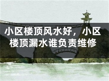 小区楼顶风水好，小区楼顶漏水谁负责维修