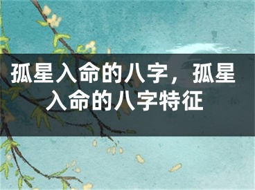 孤星入命的八字，孤星入命的八字特征