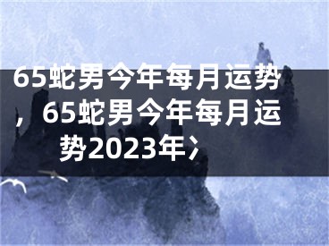65蛇男今年每月运势，65蛇男今年每月运势2023年冫