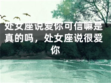 处女座说爱你可信嘛是真的吗，处女座说很爱你