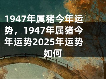 1947年属猪今年运势,1947年属猪今年运势2025年运势如何
