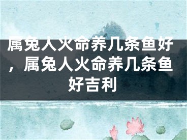 属兔人火命养几条鱼好,属兔人火命养几条鱼好吉利