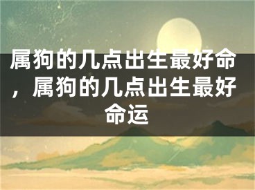 属狗的几点出生最好命,属狗的几点出生最好命运