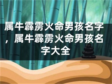 属牛霹雳火命男孩名字,属牛霹雳火命男孩名字大全