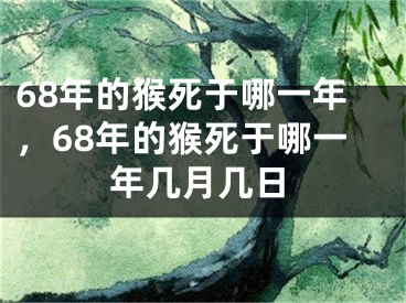 68年的猴死于哪一年,68年的猴死于哪一年几月几日