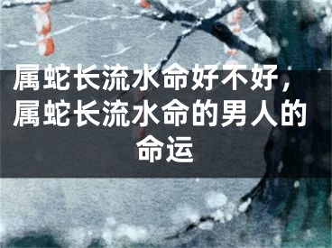 属蛇长流水命好不好,属蛇长流水命的男人的命运