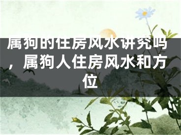 属狗的住房风水讲究吗,属狗人住房风水和方位