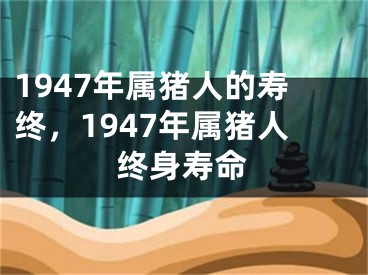 1947年属猪人的寿终，1947年属猪人终身寿命