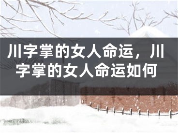 川字掌的女人命运,川字掌的女人命运如何