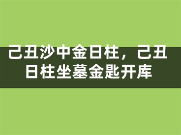 己丑沙中金日柱,己丑日柱坐墓金匙开库