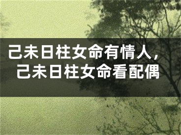己未日柱女命有情人，己未日柱女命看配偶