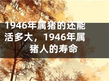 1946年属猪的还能活多大，1946年属猪人的寿命