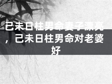己未日柱男命妻子漂亮,己未日柱男命对老婆好