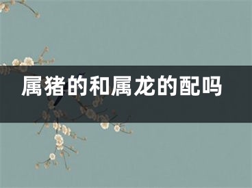 属猪的和属龙的配吗