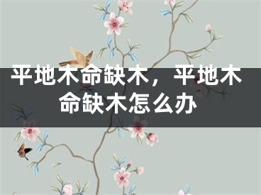 平地木命缺木,平地木命缺木怎么办