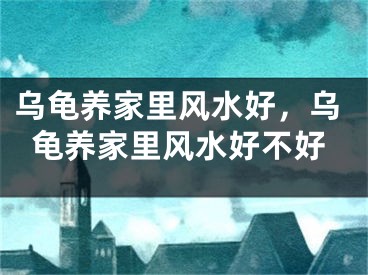 乌龟养家里风水好，乌龟养家里风水好不好