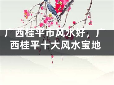 广西桂平市风水好，广西桂平十大风水宝地