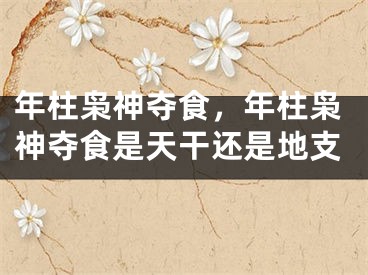 年柱枭神夺食，年柱枭神夺食是天干还是地支