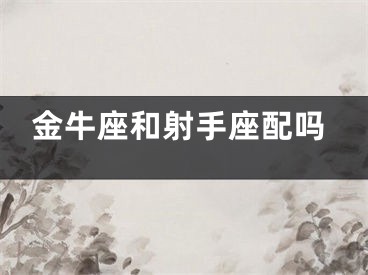 金牛座和射手座配吗