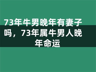 73年牛男晚年有妻子吗,73年属牛男人晚年命运