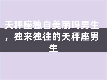 天秤座独自美丽吗男生,独来独往的天秤座男生