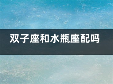 双子座和水瓶座配吗