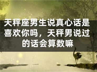 天秤座男生说真心话是喜欢你吗，天秤男说过的话会算数嘛