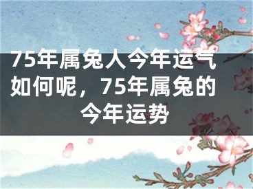 75年属兔人今年运气如何呢,75年属兔的今年运势
