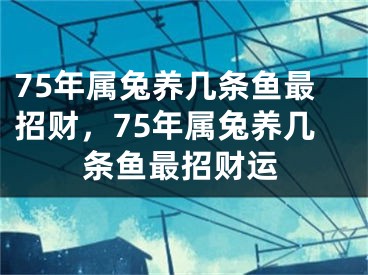 75年属兔养几条鱼最招财,75年属兔养几条鱼最招财运