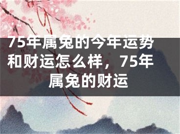 75年属兔的今年运势和财运怎么样,75年属兔的财运