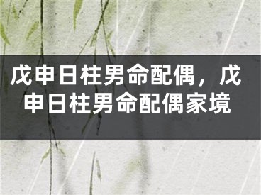 戊申日柱男命配偶,戊申日柱男命配偶家境