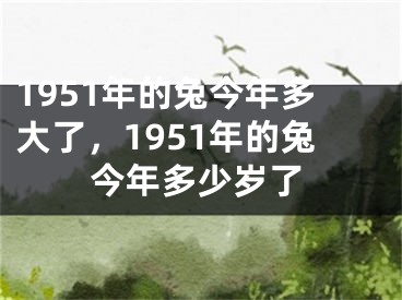 1951年的兔今年多大了，1951年的兔今年多少岁了