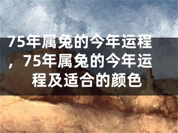75年属兔的今年运程,75年属兔的今年运程及适合的颜色