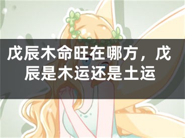 戊辰木命旺在哪方,戊辰是木运还是土运