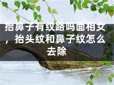 抬鼻子有纹路吗面相女,抬头纹和鼻子纹怎么去除